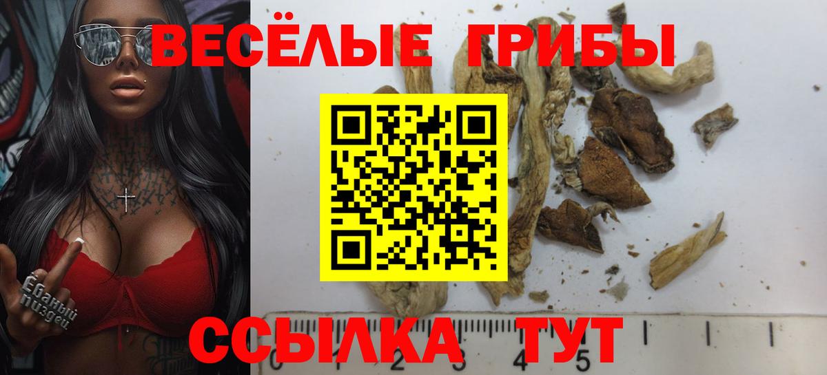 Коломна  Галлюциногенные грибы GOLDEN TEACHER  купить наркотик  Вход с VPN 